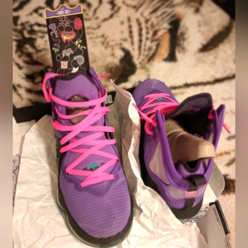 LeBron Sneakers XIX
